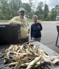 Explore Lake Martin's Beauty